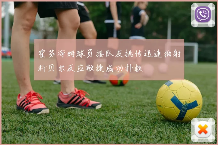 霍芬海姆球员接队友挑传迅速抽射科贝尔反应敏捷成功扑救
