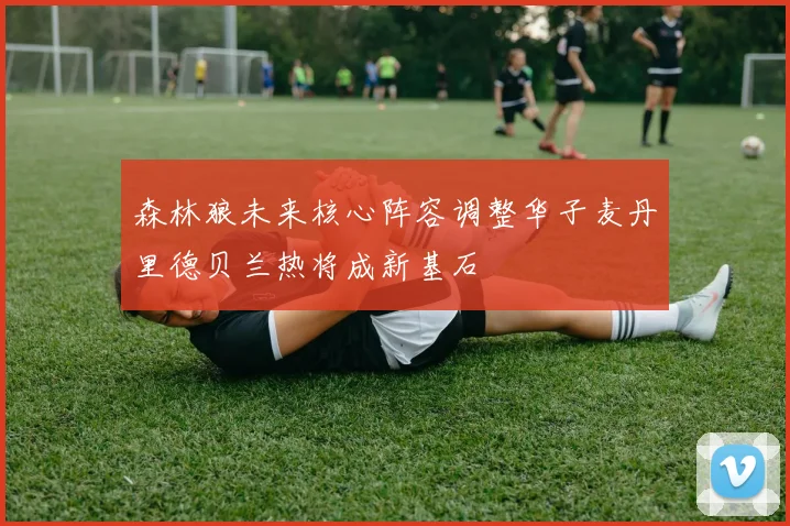 森林狼未来核心阵容调整华子麦丹里德贝兰热将成新基石